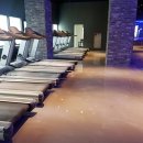 보보스 휘트니스 이미지