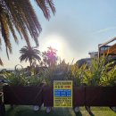 펜션하라케케 | 동백꽃, 유채꽃 가득🌸🌼포토존 가득✌️☺️ 발리 감성 인피니티풀(+키즈풀) 카페[하라케케]