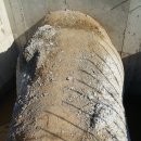 수원-0752 이미지