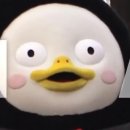 앤트뮤직