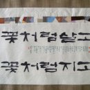 다포 이미지