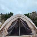 제주캠핑식당 코티지그릴 🏕 제주 한림흑돼지 감성 터지는 고깃집 후기