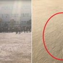 포항중앙여자고등학교 인사이트