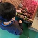 라바팜스토리 | 화성 라바팜 스토리 아이와 함께 다녀와 알찬 정보와 후기 적어봅니다!