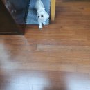 불당한화꿈에그린아파트 이미지