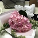 우아한향수 4-50대 엄마향수 추천 !! 불가리 자스민느와:) 백퍼센츠에서 ㅎㅎ