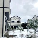 프렌치 비자림 이미지