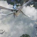 판도라의 숲 이미지