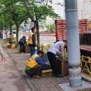 인도변 화단 이미지