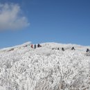 현대정형외과 이미지