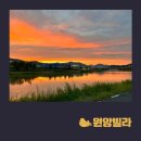 원앙유통