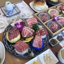 다운참치 이미지