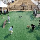 용두근린공원 화장실 이미지