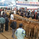 광천축산 이미지