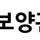 신명길R Daum카페