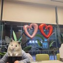 (주)지에프존 | [4-2] 코에 봄바람 넣기