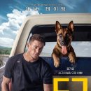 누크상사 | 영화 도그 정보 줄거리 결말 리뷰, 상처받은 이들의 동행