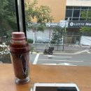 에이스침대일산덕이점