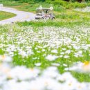 하이원랜드 이미지