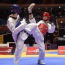 경희대한국태권도체육관 이미지