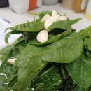 케리부엌 | [걍밍경's 딥그린 파스타 레시피/시금치 케일 파스타/닌자프로페셔널초퍼 NJ1001KR/만치니 메찌파케리]