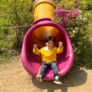 솔샘 유치원 이미지