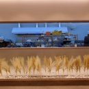 갯벌소리 이미지