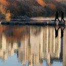 원전약수 이미지