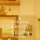 스테이유유 이미지