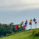 나리목장 | [국내] 경기도 양주 핑크뮬리 구경하기 좋은 양주 나리공원 나들이