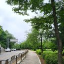 진밭매점 | 일산 고봉산 /정상부 새로 생긴 고봉산전망대 / 등산 후 진밭국수 방문 후기