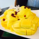 오설당 Daum카페