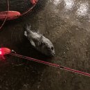 뚜루실내바다낚시터 이미지