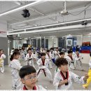 세정태권도 이미지