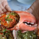 알찬대게 이미지