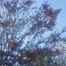 송곡주유소 이미지