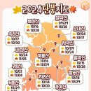 2024 단풍지도 이미지