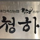 청하 예천축산농협 한우프라자 티스토리