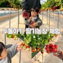 대림1농장 이미지