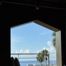 순진한가 | 제주 서귀포 순진한가 펜션 201호 내돈내산 후기