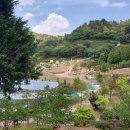 보성군청소년수련원 | 🌿 제49회 보성다향대축제 솔직 후기! (행사정보, 체험, 포토존, 먹거리 총정리)