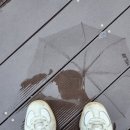 선우노래연습장 이미지