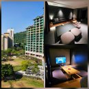 펫살롱 스위트하우스 | 🏢홍천 비발디파크 소노펫 골드스위트 펫친화 강아지동반 리조트 숙소 후기