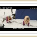저강