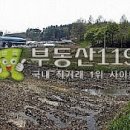 송암리 농장 이미지