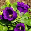 (주)트래콘건설 이미지