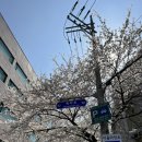 세븐일레븐 당인동점 네이버블로그