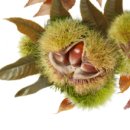 민속촌PC 이미지