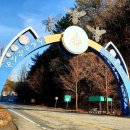 엄소리오토캠핑장 이미지