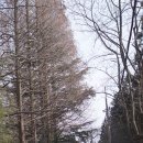 병풍산 등산로 입구 이미지